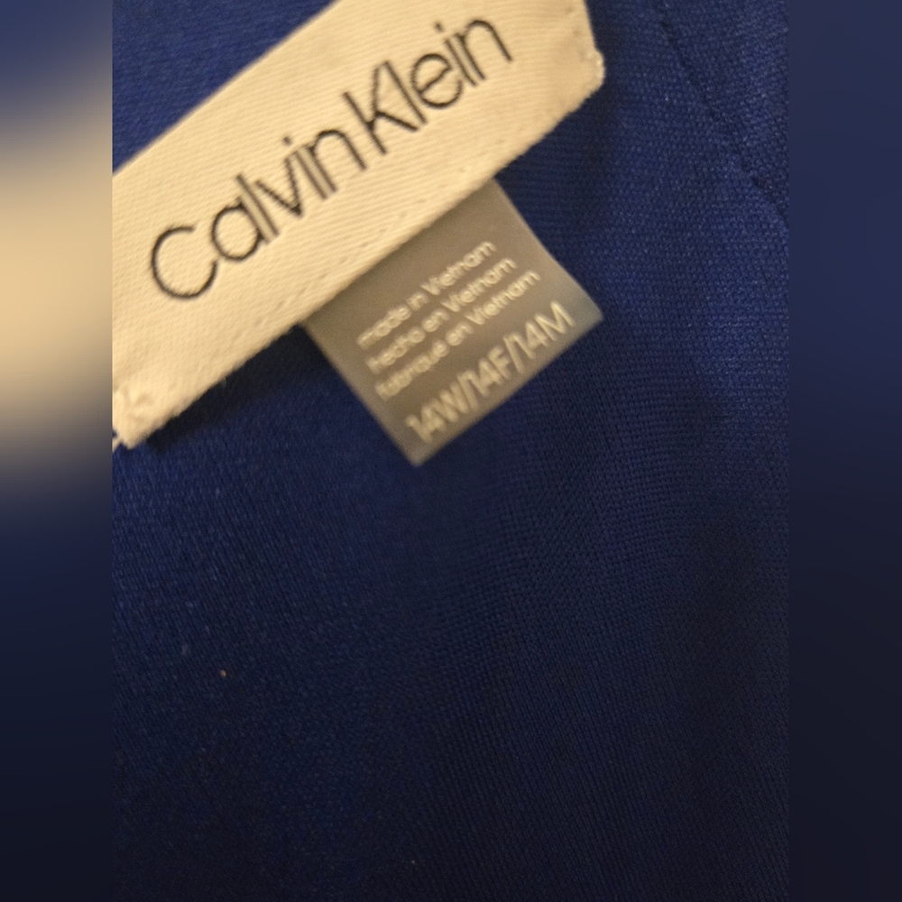 Calvin Klein Blue Velvet Dress 👗 with trumpet sleeves 14W - Picture 6 of 6